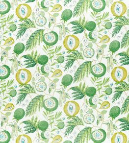Jackfruit Fabric by Sanderson Botanical Green Jackfruit Fabric by Sanderson Botanical Green