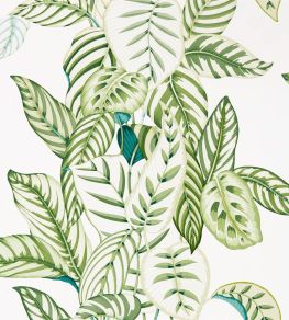 Calathea Wallpaper by Sanderson Botanical Green Calathea Wallpaper by Sanderson Botanical Green