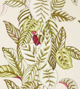 Calathea Wallpaper by Sanderson Olive Calathea Wallpaper by Sanderson Olive