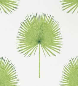 Fan Palm Wallpaper by Sanderson Botanical Green Fan Palm Wallpaper by Sanderson Botanical Green