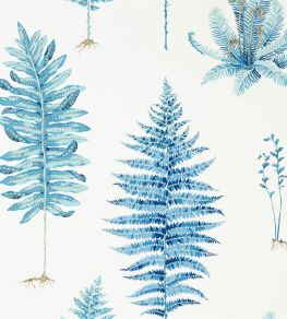 Fernery Wallpaper by Sanderson China Blue Fernery Wallpaper by Sanderson China Blue