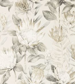 King Protea Wallpaper by Sanderson Linen/Mica King Protea Wallpaper by Sanderson Linen/Mica