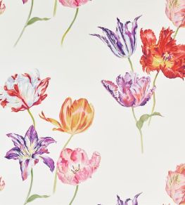 Tulipomania Wallpaper by Sanderson Botanical Tulipomania Wallpaper by Sanderson Botanical
