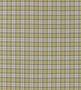 Fenton Check Fabric by Sanderson Check Caraway / Green