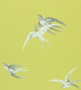Swallows Wallpaper by Sanderson Lime Swallows Wallpaper by Sanderson Lime