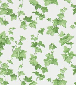 Hedera Wallpaper by Sanderson Green