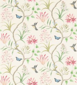 Clementine Wallpaper by Sanderson Chintz