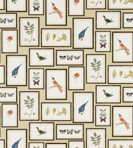 Picture Gallery Wallpaper by Sanderson Sand/Multi
