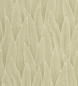 Sansevieria Wallpaper by Casadeco Argile Vert