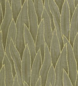 Sansevieria Wallpaper by Casadeco Vert Mousse Sansevieria Wallpaper by Casadeco Vert Mousse