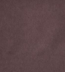 Savona Fabric by Kai Amethyst Savona Fabric by Kai Amethyst