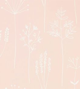 Stipa Wallpaper by Scion Blush