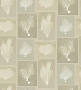 Sea Fans Wallpaper by DADO 03 Hemp Sea Fans Wallpaper by DADO 03 Hemp