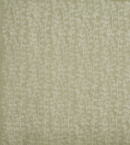 Seedling Fabric by Prestigious Textiles Basil Seedling Fabric by Prestigious Textiles Basil