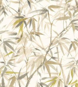 Shadow Bamboo Wallpaper by Ohpopsi Oyster Mix Shadow Bamboo Wallpaper by Ohpopsi Oyster Mix