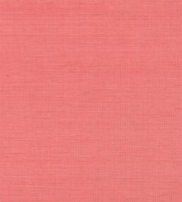 Shang Extra Fine Sisal Wallpaper by Thibaut Coral