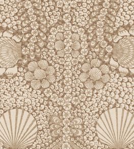 Shell Grotto Wallpaper by Fermoie Brown Shell Grotto Wallpaper by Fermoie Brown