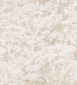 Sikora Sheer Fabric by Romo Stone Sikora Sheer Fabric by Romo Stone