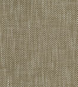 Snicket Fabric by Nina Campbell Chocolate