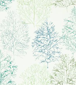 Soetsu Wallpaper by Scion Kiwi / Slate Soetsu Wallpaper by Scion Kiwi / Slate