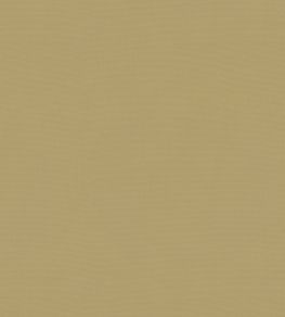 Solaire Fabric by Warwick Citrus Solaire Fabric by Warwick Citrus