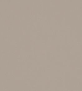 Solaire Fabric by Warwick Coconut