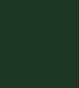 Solaire Fabric by Warwick Evergreen Solaire Fabric by Warwick Evergreen