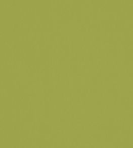 Solaire Fabric by Warwick Lime