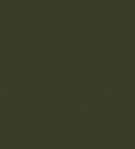 Solaire Fabric by Warwick Seaweed Solaire Fabric by Warwick Seaweed