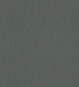 Solaire Fabric by Warwick Turtle Solaire Fabric by Warwick Turtle