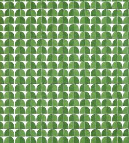Solsbury Wallpaper by Thibaut Green