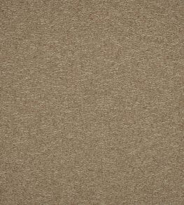 Spiral Fabric by Kirkby Design Havana