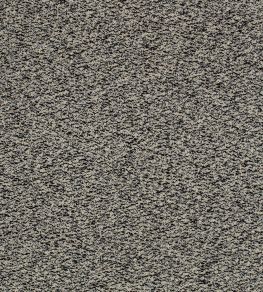 Spiral Fabric by Kirkby Design Noir