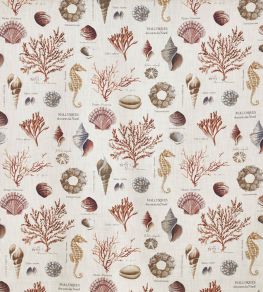 St Helier Fabric by Prestigious Textiles Coral