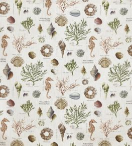 St Helier Fabric by Prestigious Textiles Seaweed St Helier Fabric by Prestigious Textiles Seaweed