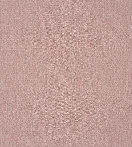 Stamford Fabric by Prestigious Textiles Petal Stamford Fabric by Prestigious Textiles Petal