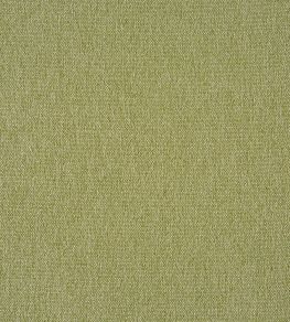 Stamford Fabric by Prestigious Textiles Sage Stamford Fabric by Prestigious Textiles Sage