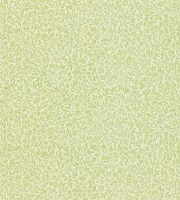 Standen Wallpaper by Morris & Co Fennel Standen Wallpaper by Morris & Co Fennel