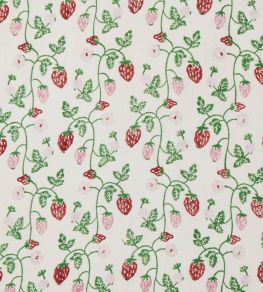 Strawberry Fabric by Molly Mahon Grass