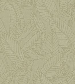 Strelitzia Wallpaper by Arte Olive Strelitzia Wallpaper by Arte Olive