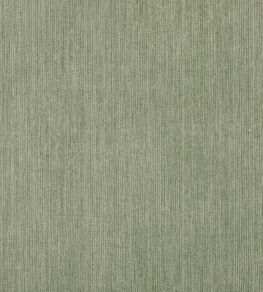 Strie Fabric by Fermoie Split Pea Strie Fabric by Fermoie Split Pea