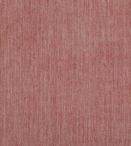 Strie Fabric by Fermoie Professor Strie Fabric by Fermoie Professor