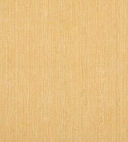 Strie Fabric by Fermoie Turner Yellow Strie Fabric by Fermoie Turner Yellow