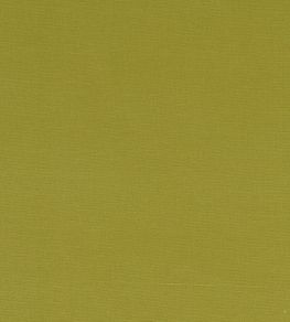 Alora Fabric by Studio G Citrus Alora Fabric by Studio G Citrus