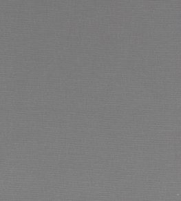 Alora Fabric by Studio G Grey