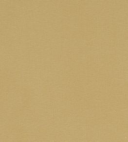 Alora Fabric by Studio G Malt Alora Fabric by Studio G Malt