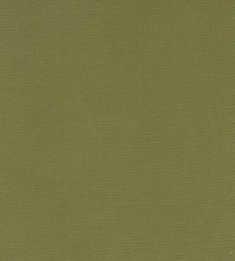 Alora Fabric by Studio G Moss Alora Fabric by Studio G Moss