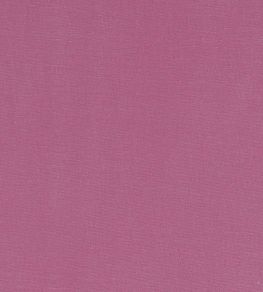 Alora Fabric by Studio G Sorbet Alora Fabric by Studio G Sorbet