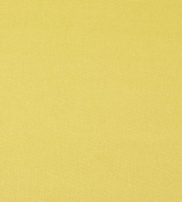 Style Fabric by Prestigious Textiles Citrus Style Fabric by Prestigious Textiles Citrus