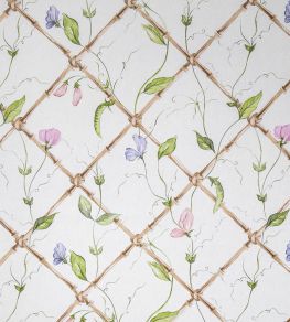 Sweet Peas on Bamboo Trellis Wallpaper by Alice Crawley Pink/Purple